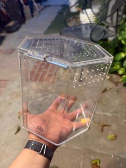 Tarantula Crib Enclosure