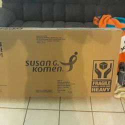 Susan Komen Lady Bike 