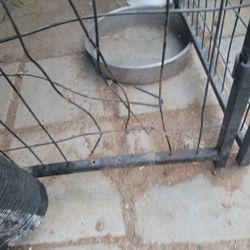 Dog Cage 