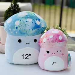 2 squishmallow 