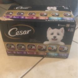 Dog Food (Cesar)