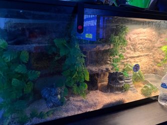 Snake cage 🐍