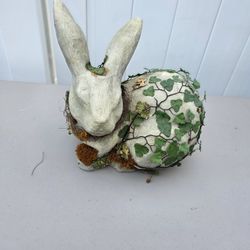 Rabbit Covered In Leafy Vine