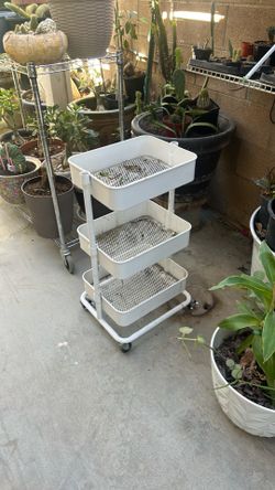 Plant cart
