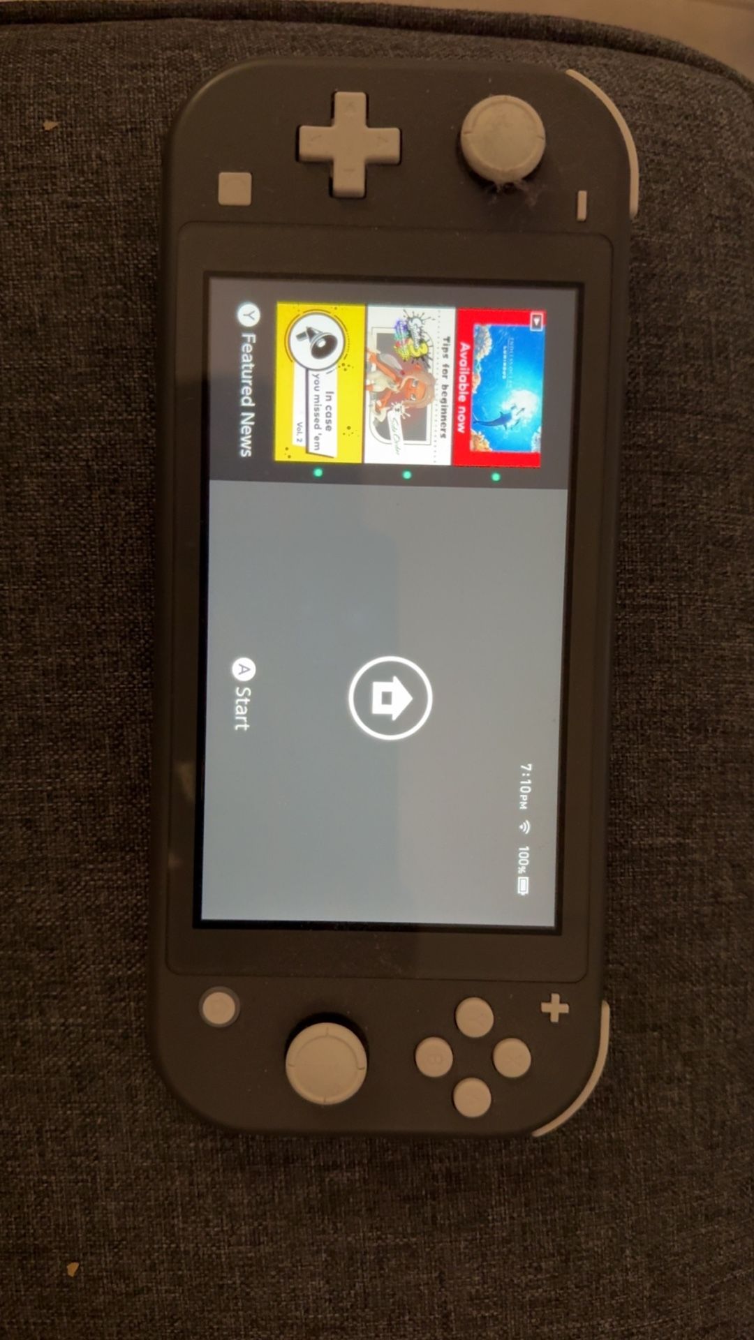 Grey Nintendo Switch Lite
