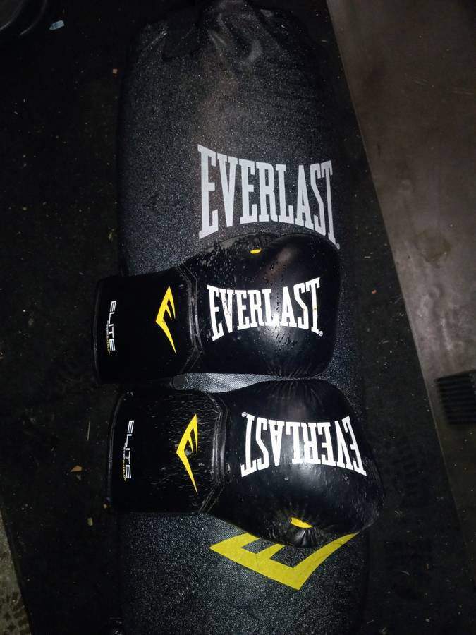 Excellent 100 Pound Everlast Punching Bag With Gloves Can Deliver 
