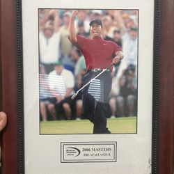 Framed Photo Of Tiger Woods