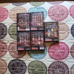 Evercade Handheld Console.