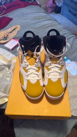 Air Jordan 6’s