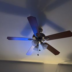 Ceiling Fan 