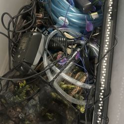 Aquarium Supplies