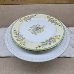 Celebrate  Home dinner plate made in Japan-