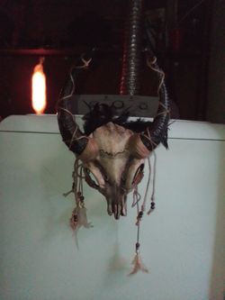 Decorated Animal Skull with Horns and Feathers