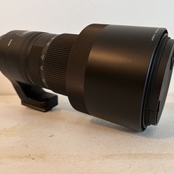 Sigma 150-600mm Lens 