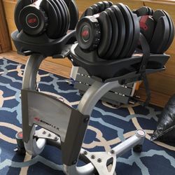 Bowflex-SelectTech552-Adjustable-Dumbbells With Stand