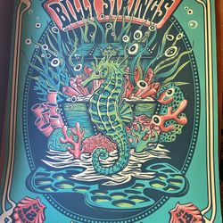 Billy Strings - Tampa, Florida 2024 Concert Posted