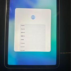 Apple iPad A16 Cellular 