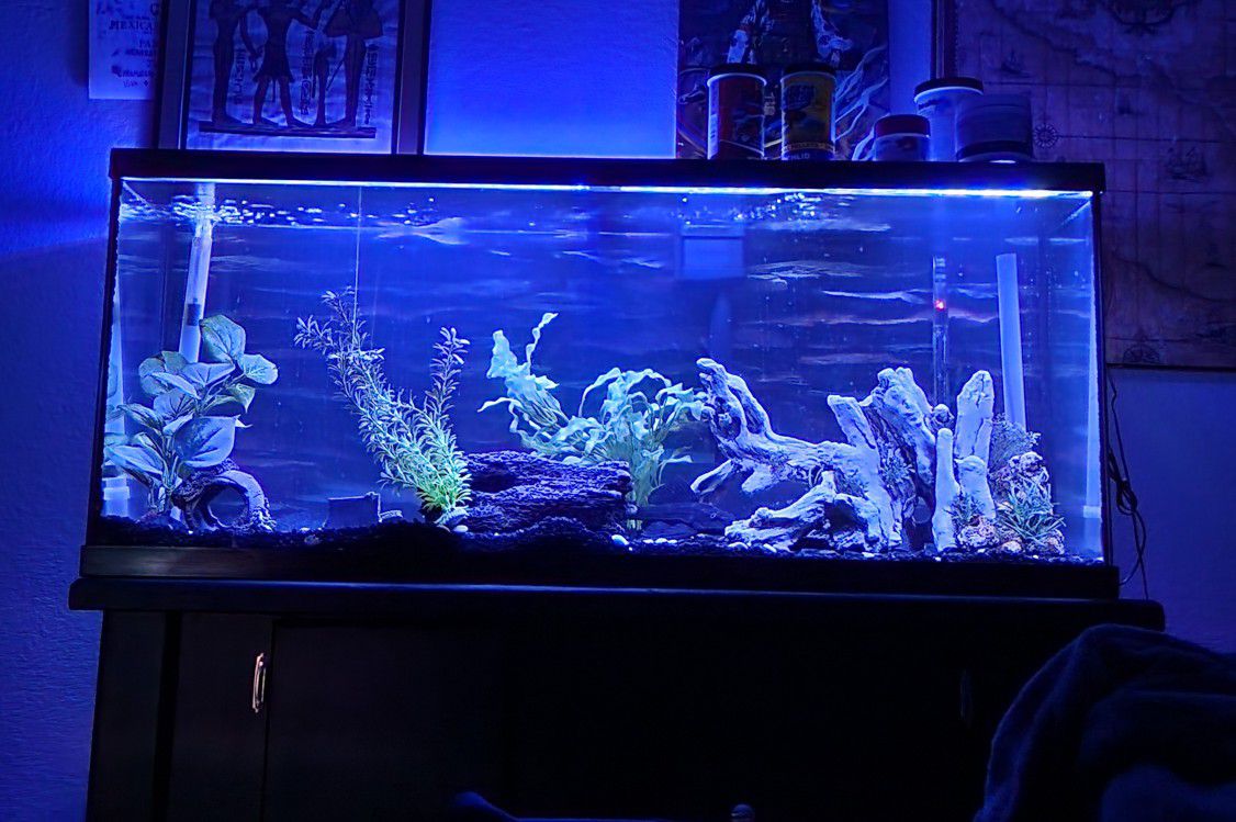 55 Gallon Aquarium Fish Tank With Stand