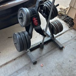 Weight Set With Golds Gym Weight Tree 