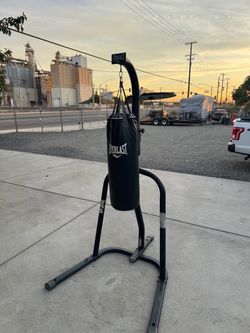 Boxing bag EVERLAST