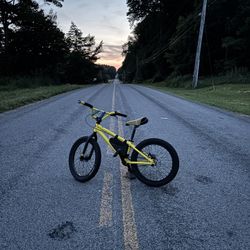 Mafia Medusa 20 Inch