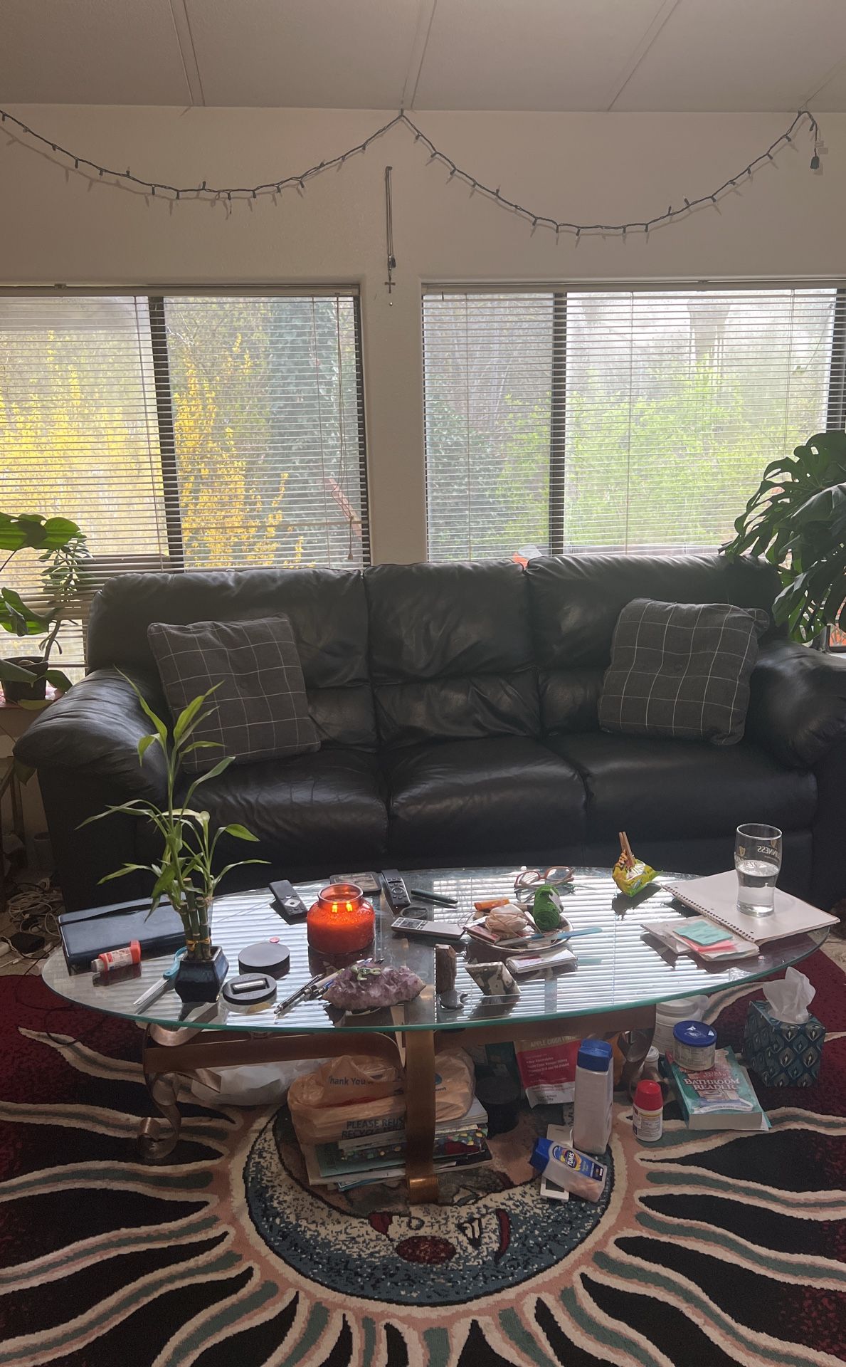 Black Leather Couch