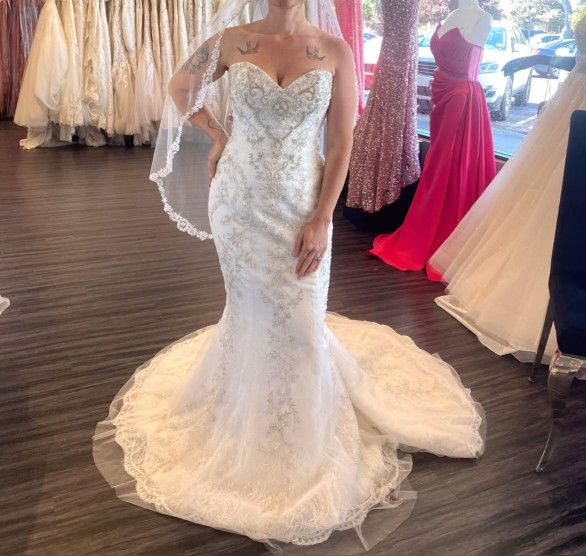 Wedding Dress And Veil