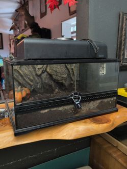 Exo Terra Terrarium