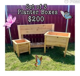 Set of 3 Wooden Planter Boxes