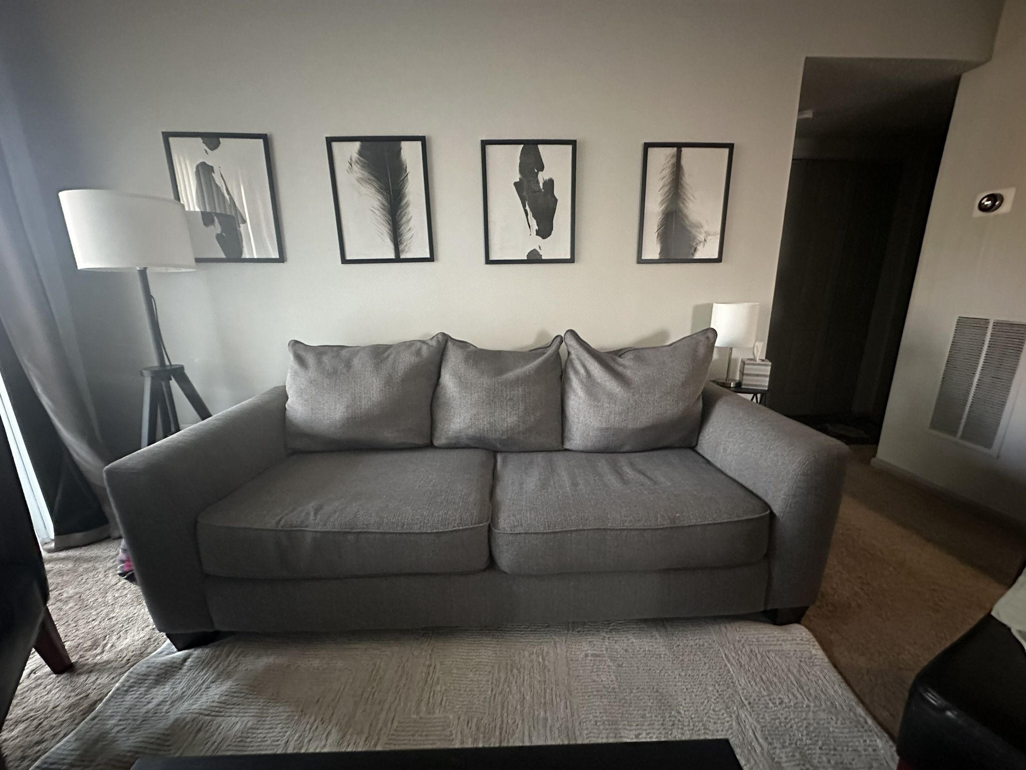 Couch/Sofa