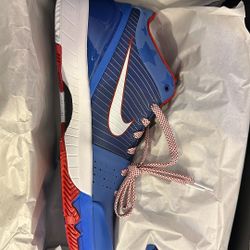 Kobe IV Potro Size 11 