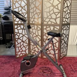 Exerpeutic Fitness Bike