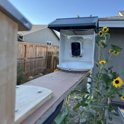 WiFi Bird Feeder Camera Setup On Pole