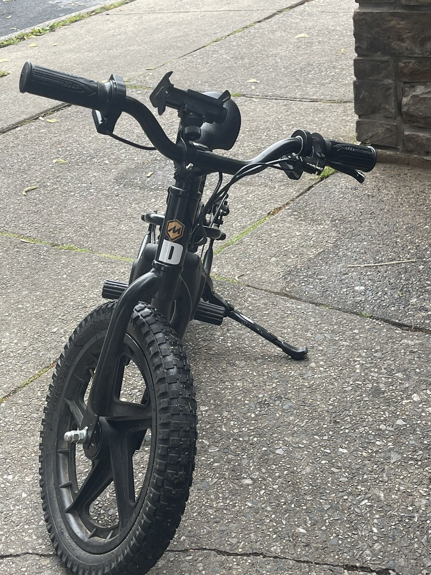 Electric Bike