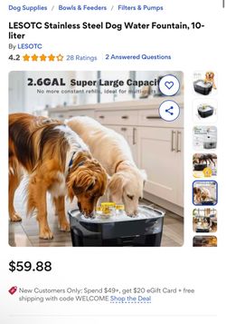 Large dog water fountain