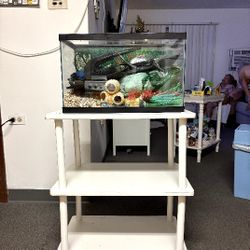 Fish Tank/ Table