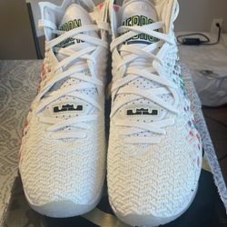 Nike Lebron XVII size 10 men’s