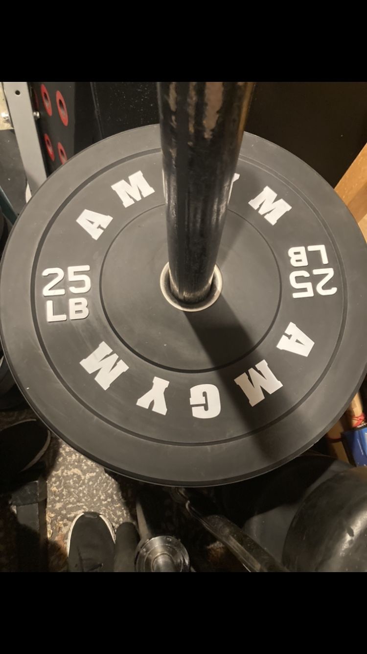 Olympic Weight Bumper Plates For Your Home Gym