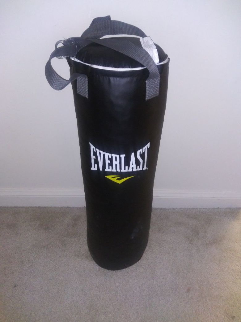 100 pound Everlast heavy bag