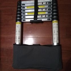 Extendable Ladder 
