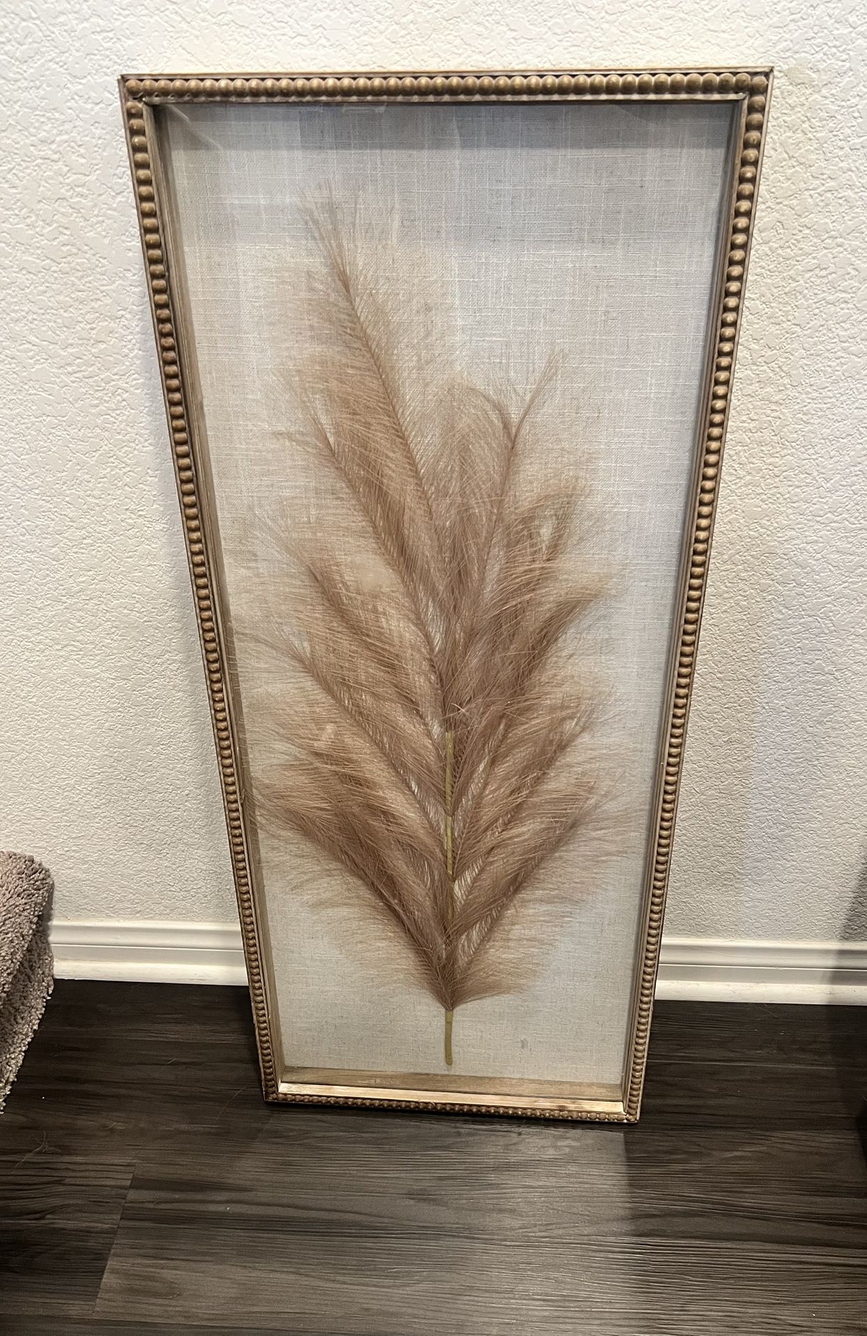 Framed Feather Wall decor