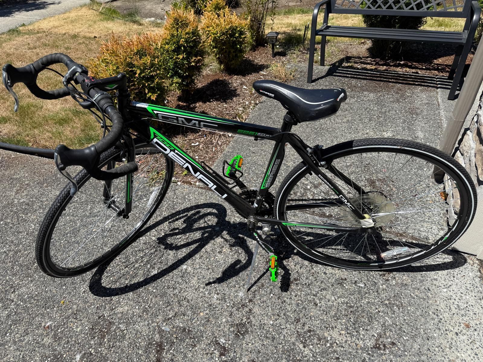 adult bike