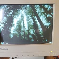 Magitronic 1995 CRT Monitor (Perfect Condition)