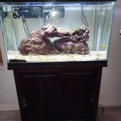30 Gallon SALT WATER FISH TANK 