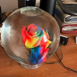 Forever Roses