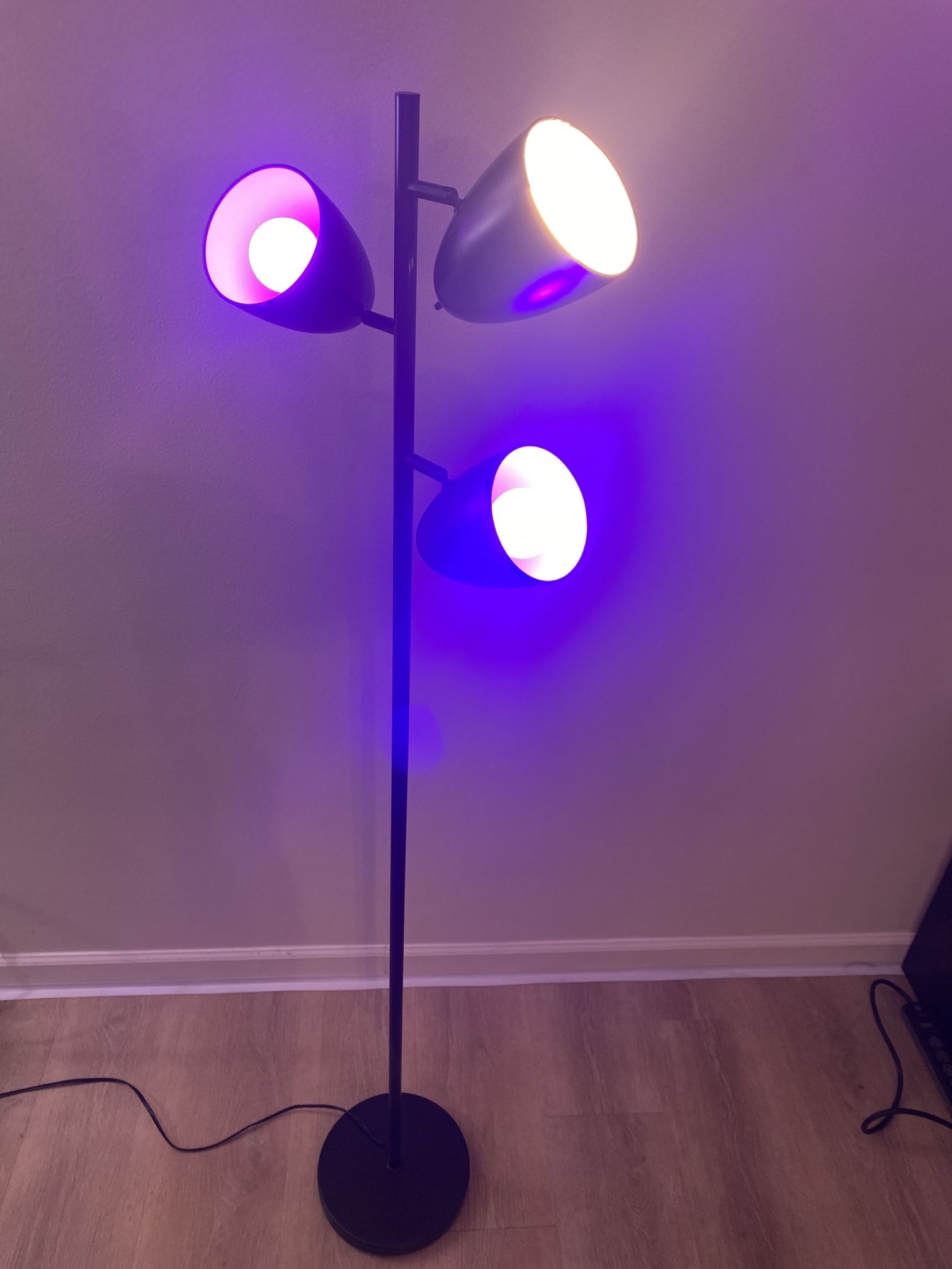 Tall lamp Light (Swivels)