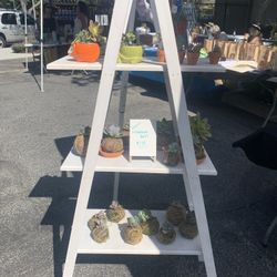 Wood Folding Shelf Ladder