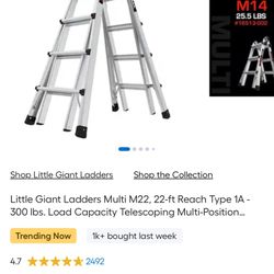 Little Giant Ladder