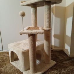 Kitty Condo