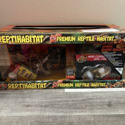 reptile kit !